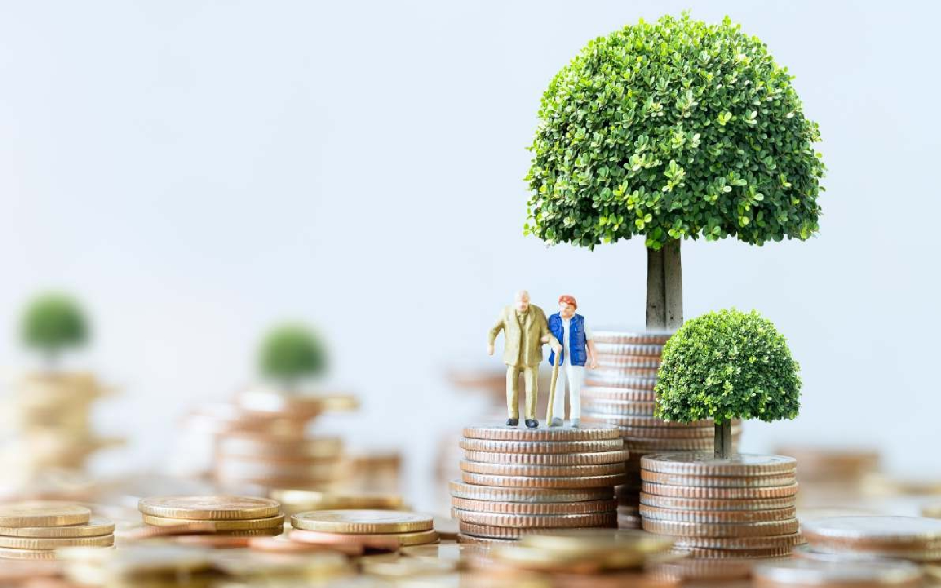 Seguros Digital